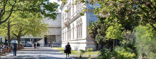 A student walking through Trinity Campus