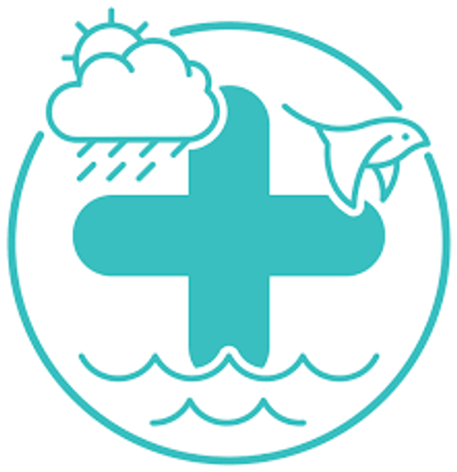 Climate Plus LOGO - Plus sign, clouds, bird and moving water graphic