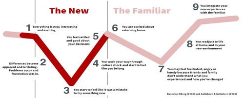W Curve infographic in red and white.