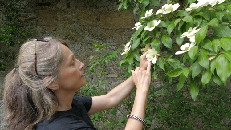 Flowers at the botanic Garden