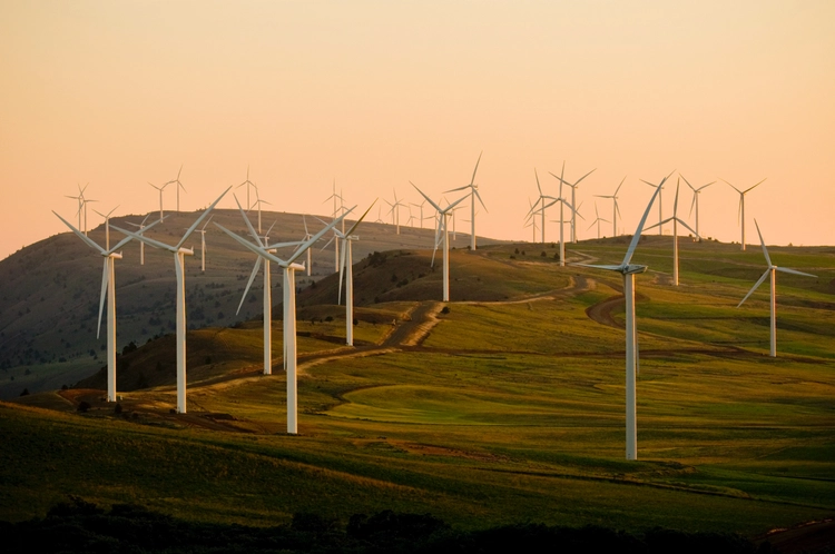 A image of wind turbines in a field