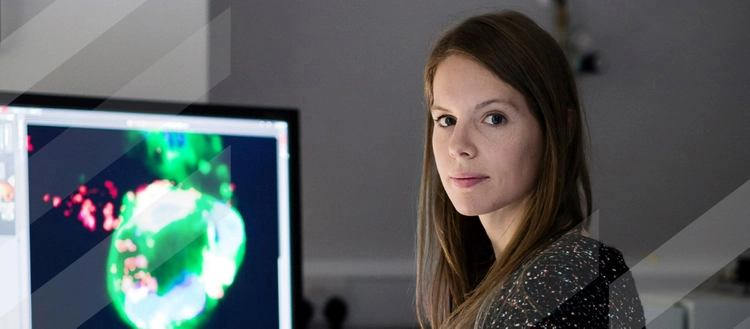 A student sitting in front of a computer