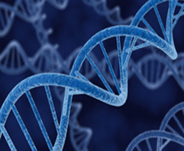 P.Grad.Diploma in Molecular Medicine