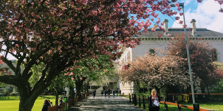 Image of TCD campus