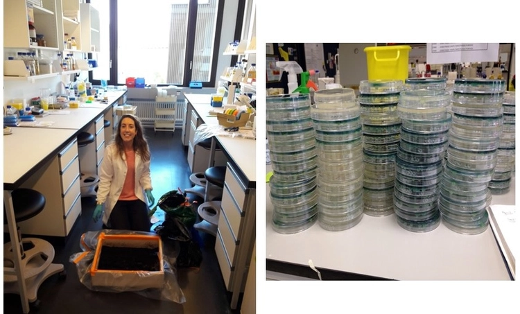 Eukaryotic Gene Regulation