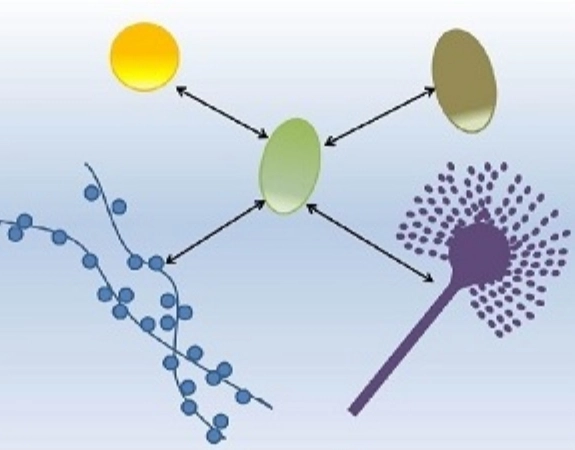 Microbial Ecology and Evolution