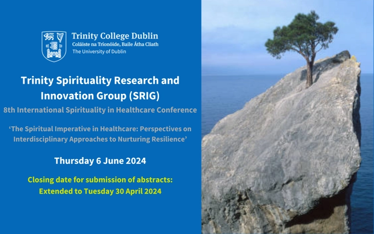 Tree on a rock in the sea