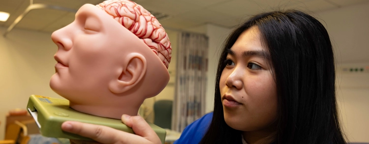 Student nurse holds up a model of the brain