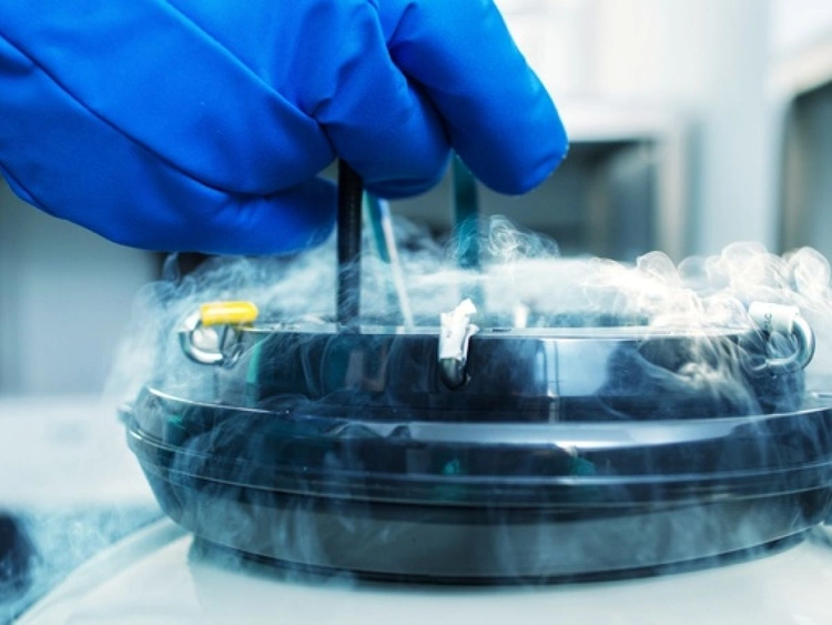 An image of a hand in a glove with Liquid Nitrogen