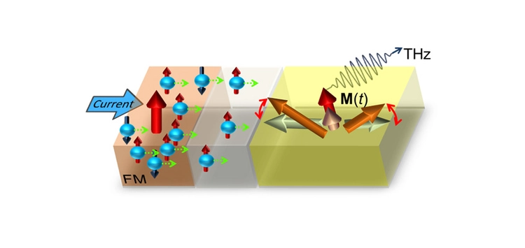 Maria Stamenova slide 1