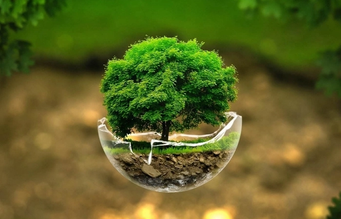 CGI tree in a cracked glass bowl