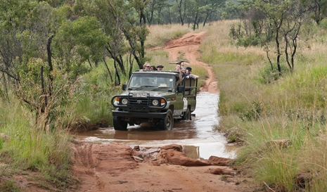 Biodiversity and Conservation