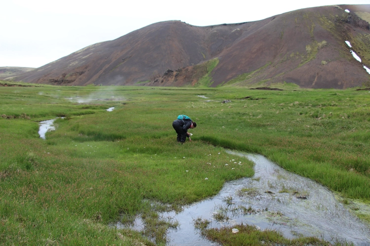 A Zoology student doing fieldwork