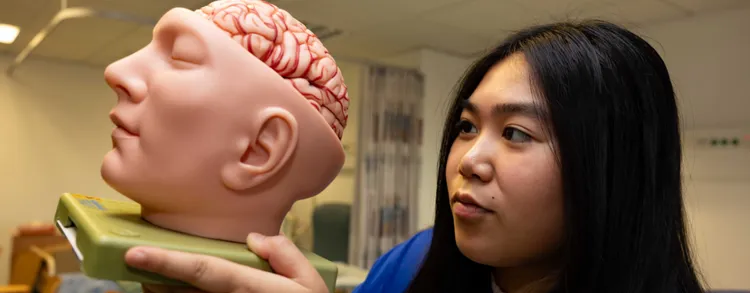 Student nurse holds up a model of the brain