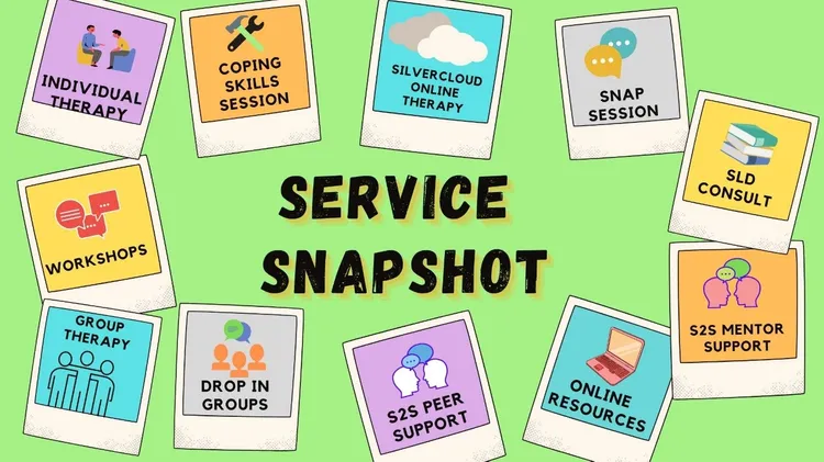 Counselling Services Snapshot