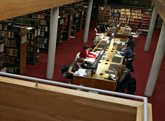 People Studying in the library