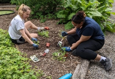 Two students working in the Botanic gardens