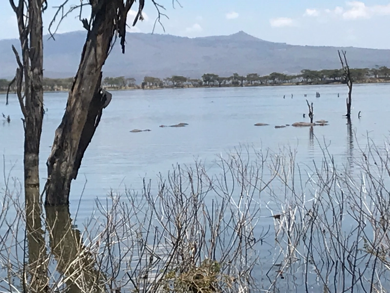 Kenya Lake