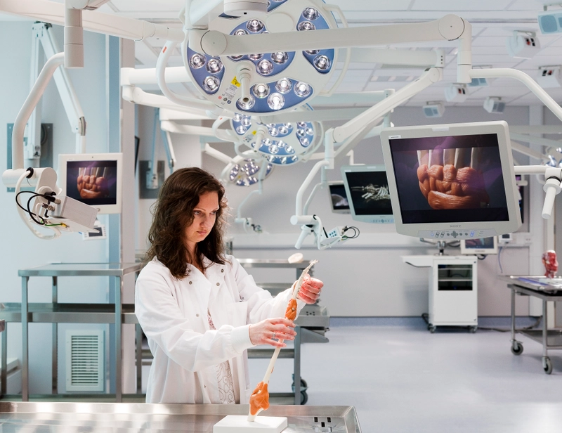 anatomy lab - claire