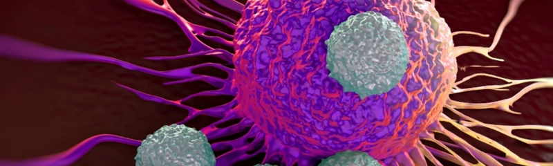 Image of a cell