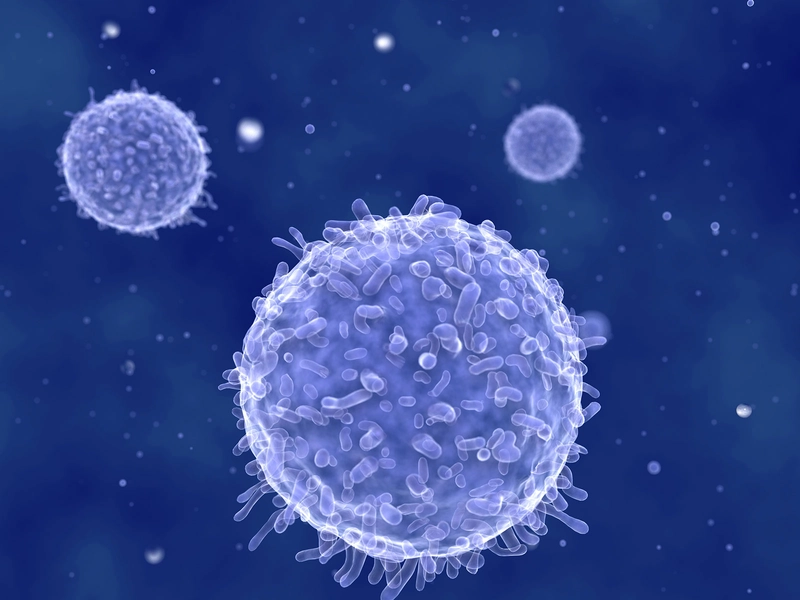 A group of cells