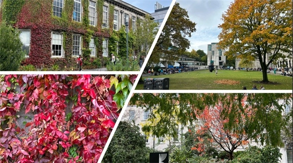 Autumn view of campus - 2025
