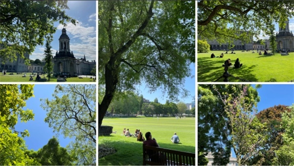 Trinity Campus View Summer 2025