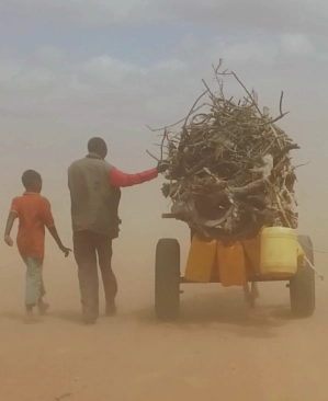 Migrants in a desert setting
