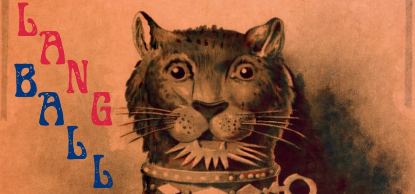 Graphic advertising the 2026 Trinity Languages Ball.