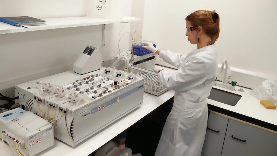 Destructive Sampling - Botany | Trinity College Dublin
