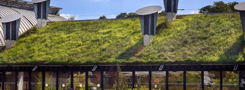 This image shows a 'green roof' on a public library.