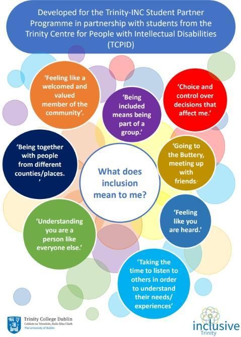 TCPID What Inclusion Means to Me - Poster