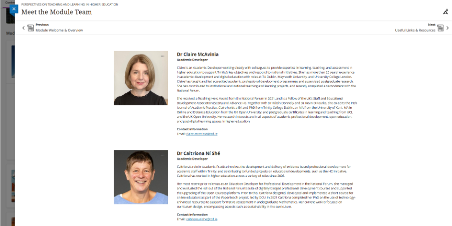 An example Meet the Team page in Blackboard Ultra