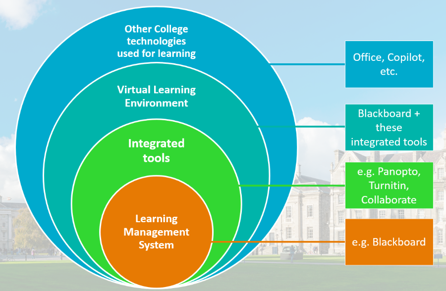 An image of the Virtual Learning Environment in Trinity comprised of the Learning Management System (e.g. Blackboard), integrated tools (e.g. Panopto, Turnitin, Collaborate) and the Virtual Learning Environment (Blackboard + these integrated tools) alongside Other College technologies used for learning (Office, Copilot, etc.)