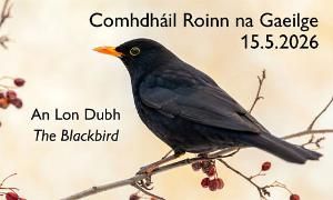 Event details for Lon Dubh conference on 15 May 2026.