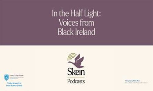 Image of details for Voices from Black Ireland event