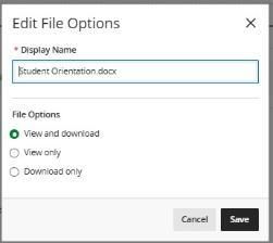 Edit File Options