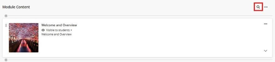 Module content search