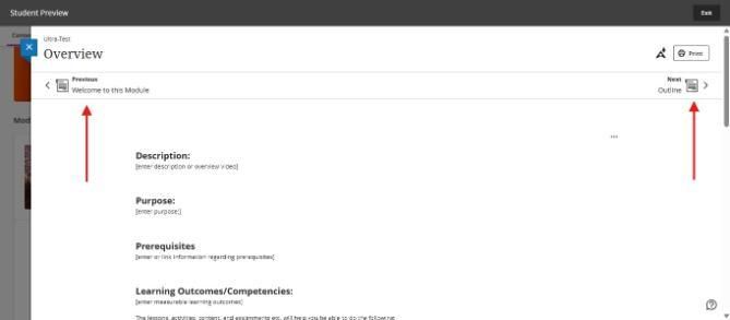 Navigation the module - student preview