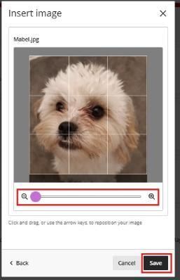 Adjust and Preview image