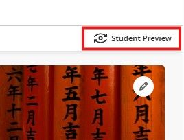 Student Preview Option