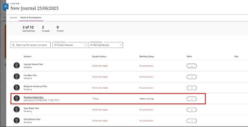 Marks - Checking Students Journal Entry