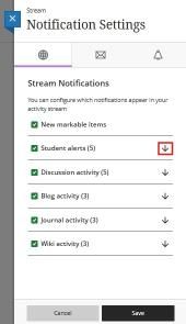 Activity Stream Notification
