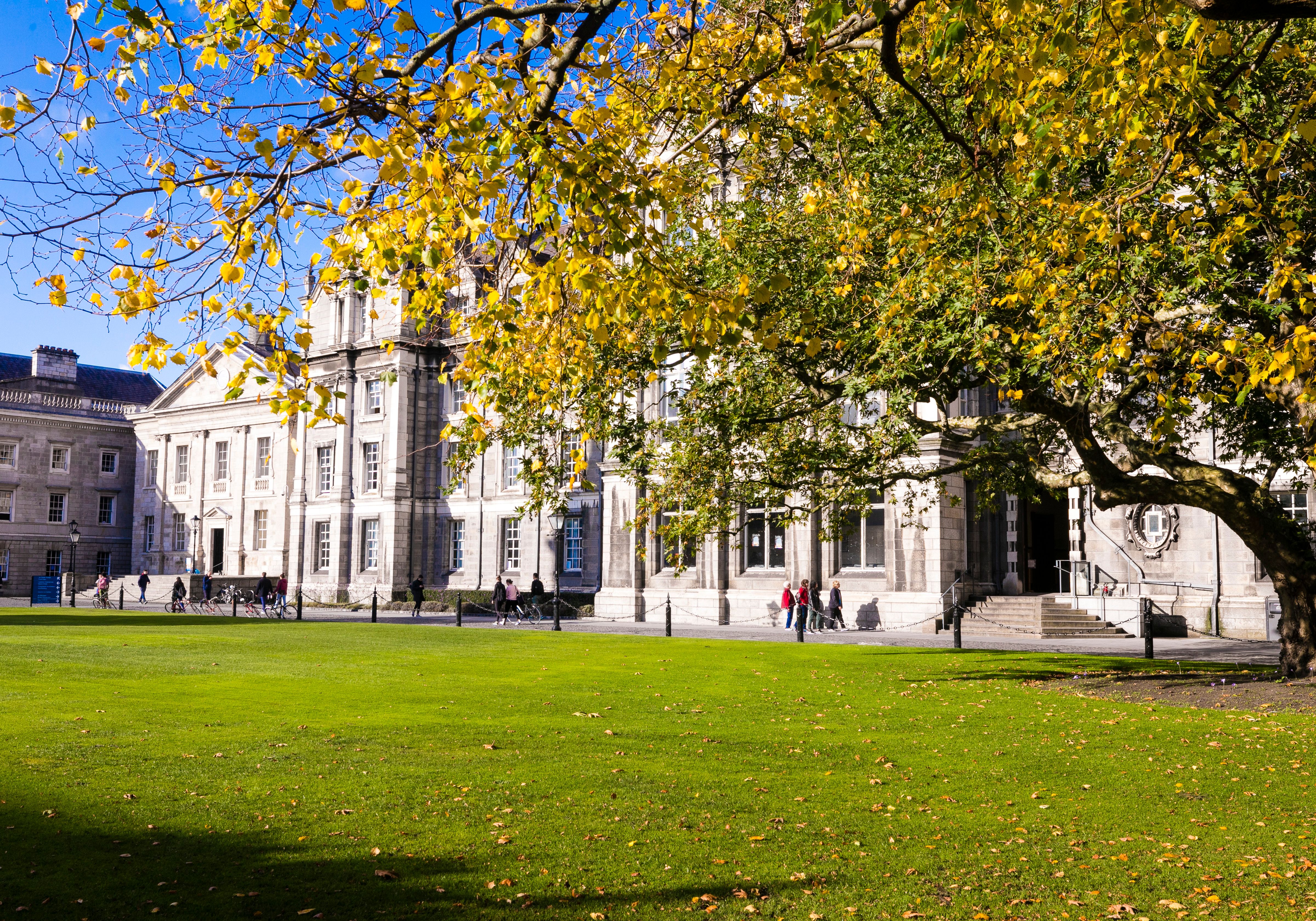 Sunny Day old buildings on campus with tree with golden leaves