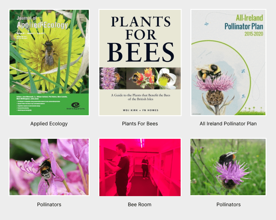 Image showing he covers of 3 Bee related books and 3 images of bee pollinators and the Botany bee room.