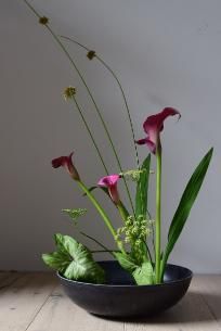 Purple lilies ikebana arrangement