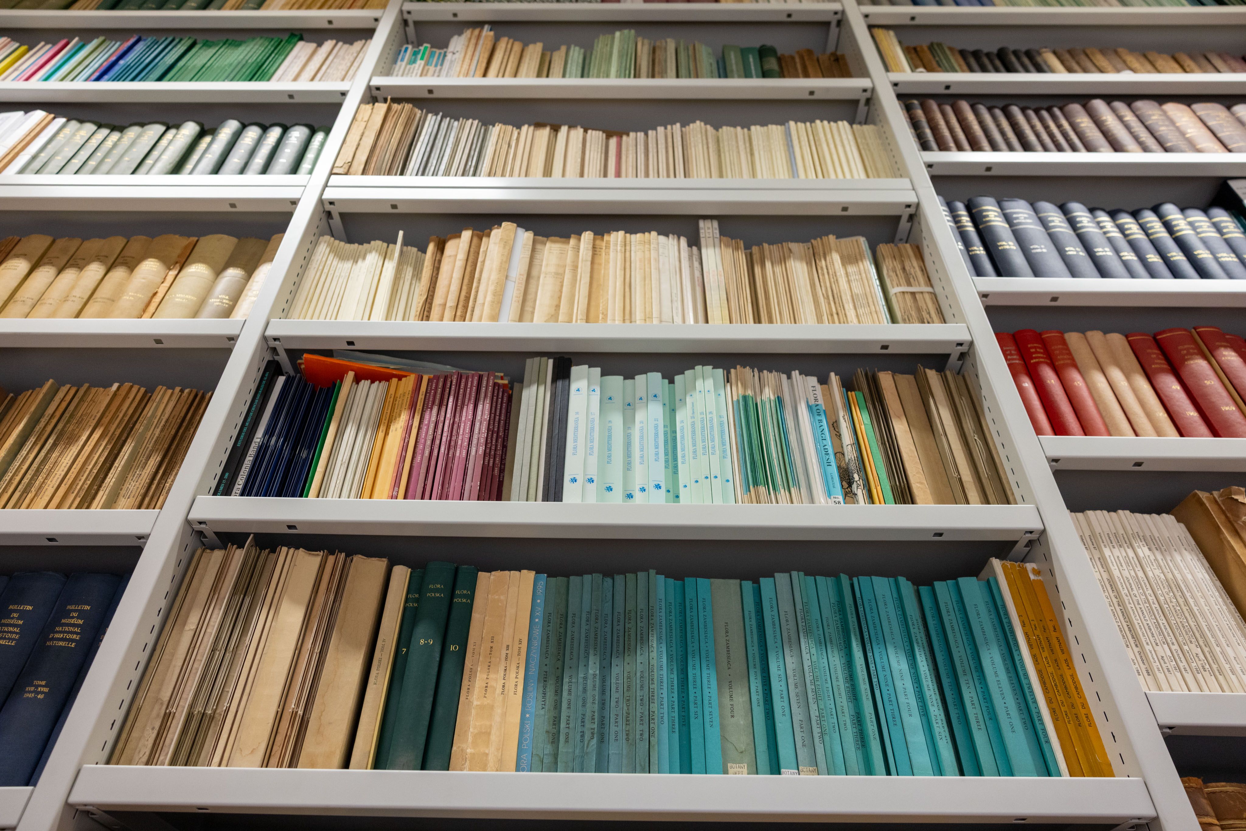 Herbarium view of some of the library collection