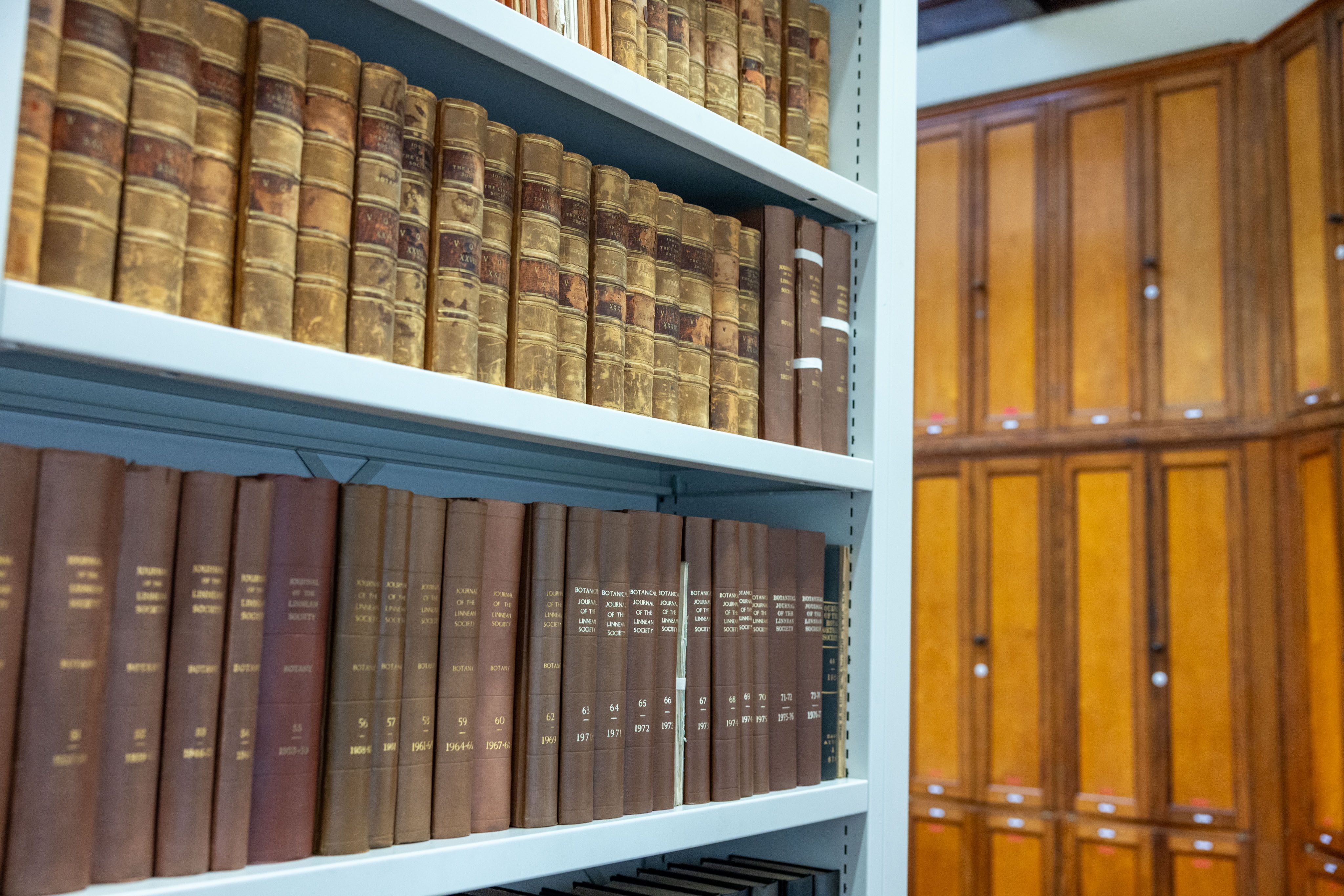 Old tomes on herbarium bookshelves