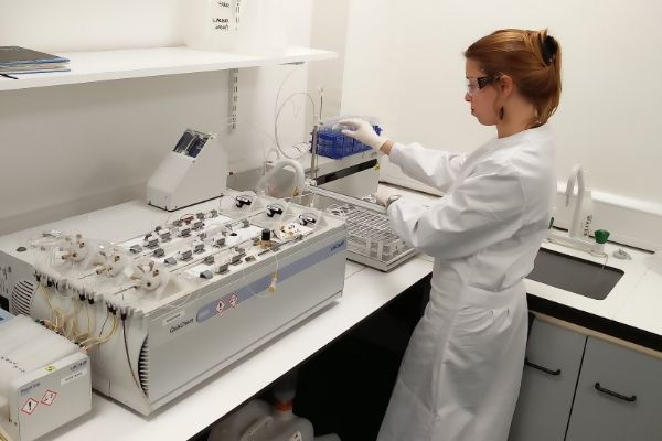 Botany student in the lab, Trinity College Dublin.