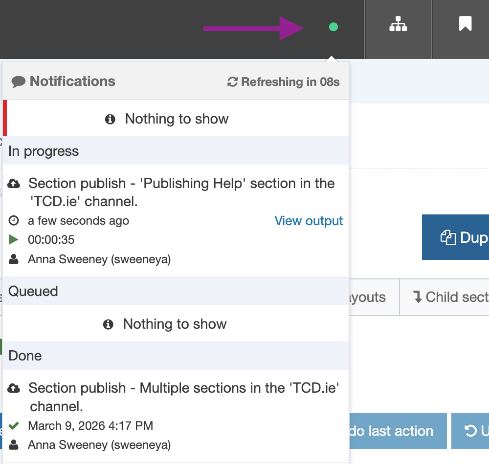 Publish queue screenshot